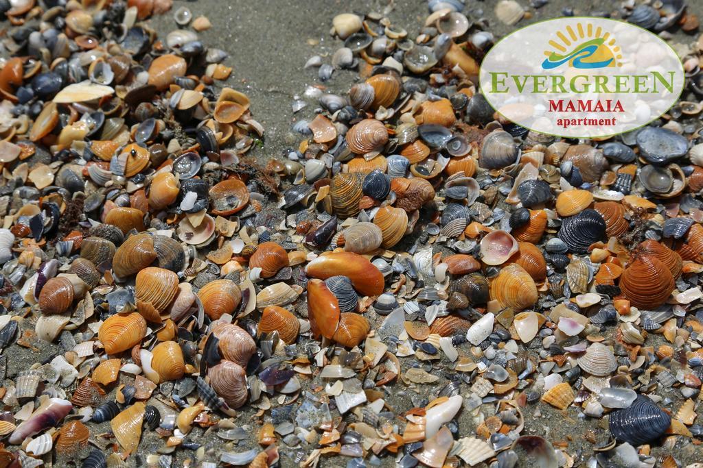 Evergreen Vlas Mamaia Sud Exterior photo